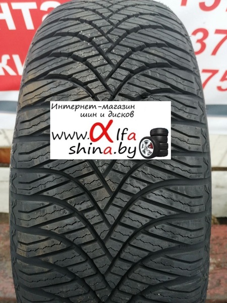 Goodride All Season Elite Z-401 205/55R17 95V